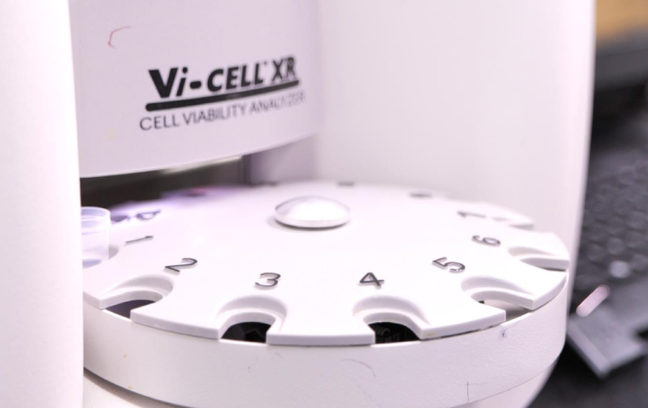 Cdmo Services Downstream Process Development - Incredible Desktop City Wallpapers | Free Download